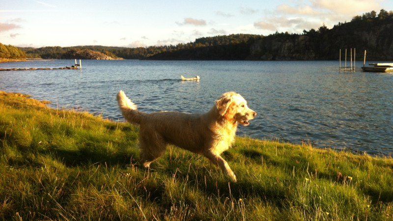 Välkomna till en ny&nbsp;termin!